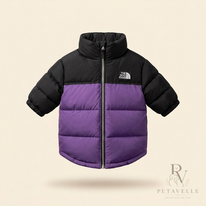 Petavelle DogFans Jacket in Violet — dog puffer with black collar, yoke and sleeves